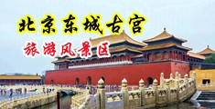 女人的肉穴流水中国北京-东城古宫旅游风景区